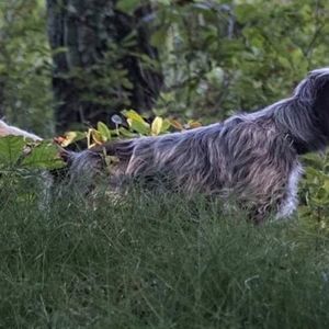 Meet your Posher, Loren